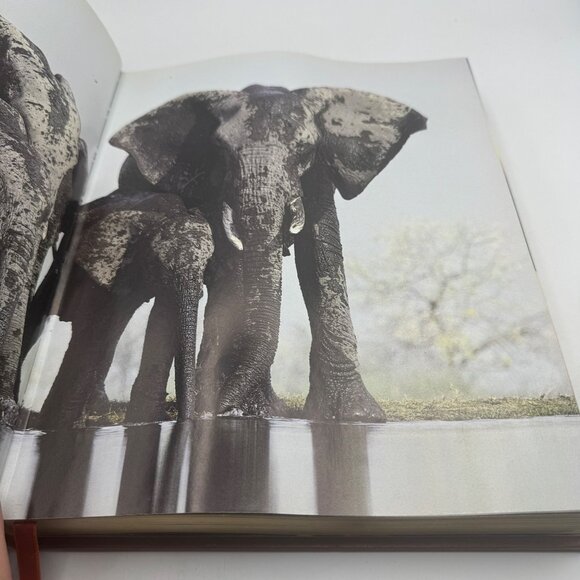 National Geographic Society 100 Years Of Adventure And Discovery Hardcover Book - Picture 7 of 14